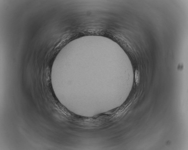 X0000096421107200802211117
