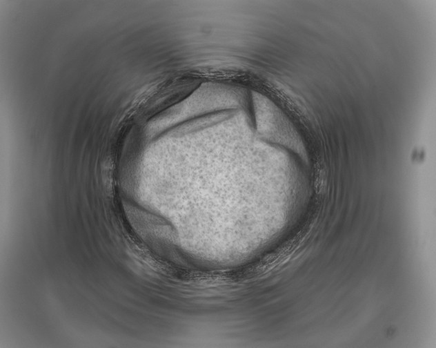 X0000096421108200802211117
