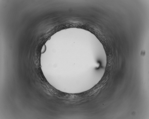 X0000096421109200802211117