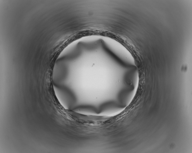 X0000096421110200802211117