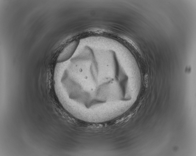 X0000096421111200802211117