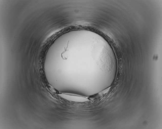 X0000096421112200802211117