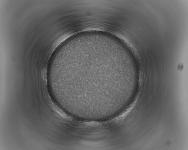 X0000096421113200802211117