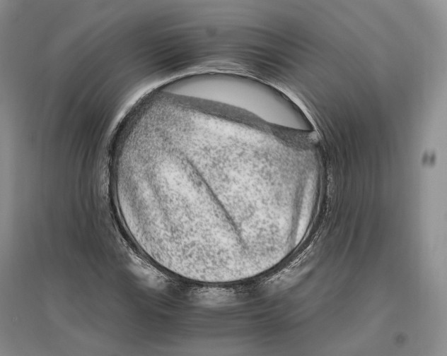 X0000096421115200802211117
