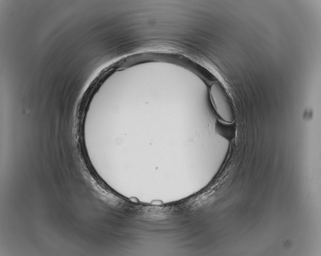 X0000096421116200802211117