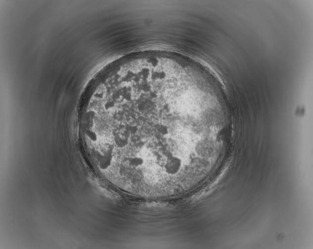 X0000096421117200802211117