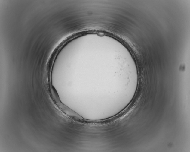 X0000096421118200802211117