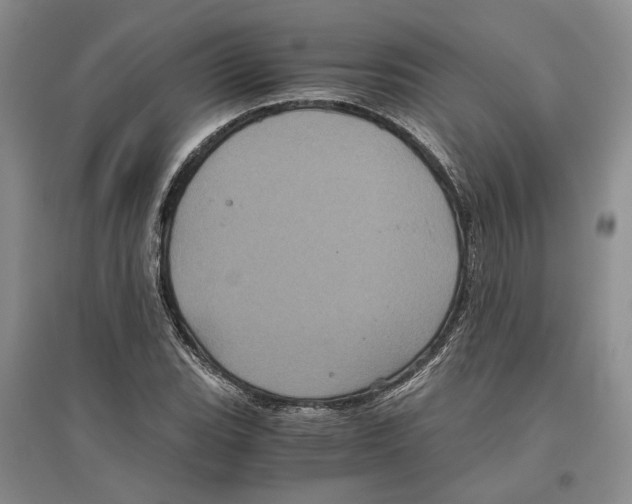 X0000096421119200802211117