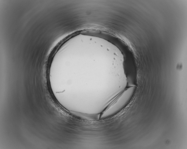X0000096421120200802211117