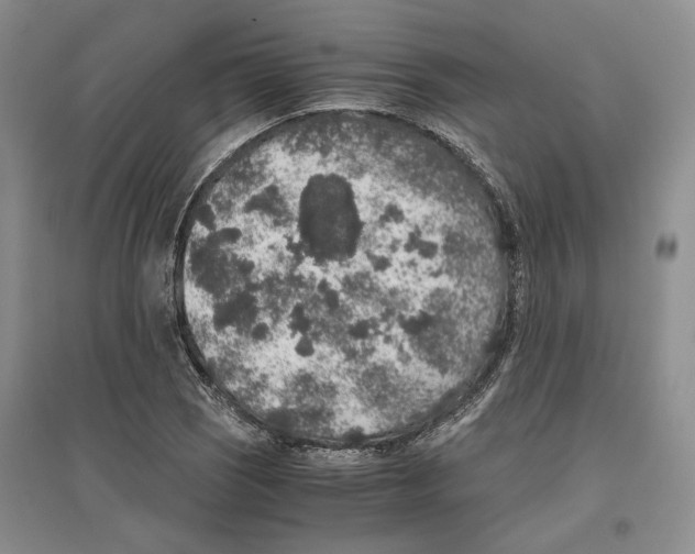 X0000096421121200802211117