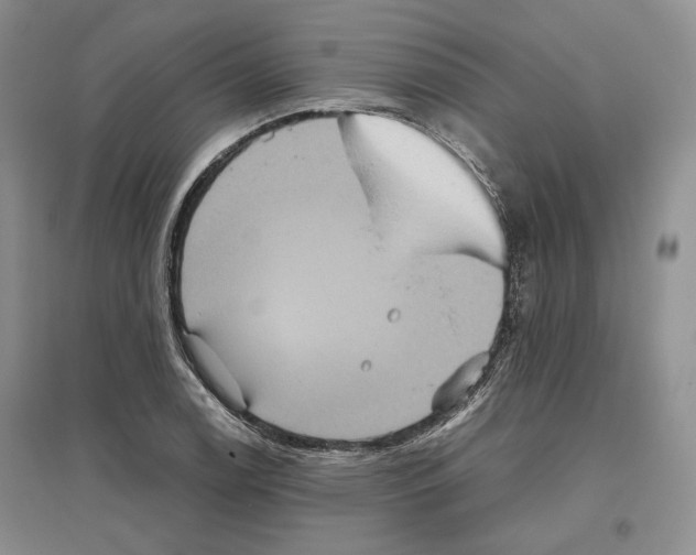 X0000096421122200802211117