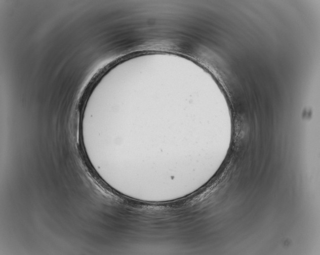 X0000096421123200802211117