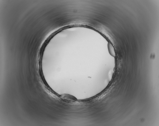 X0000096421124200802211117