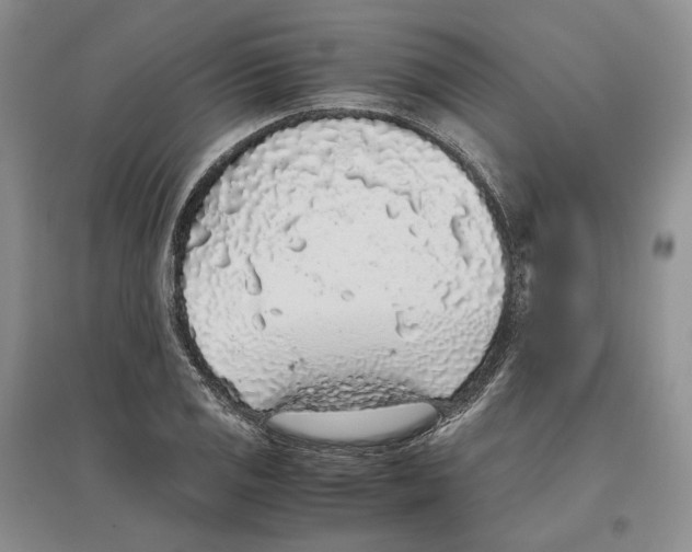 X0000096421125200802211117