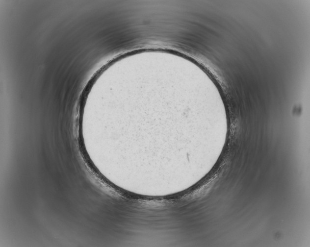 X0000096421126200802211117