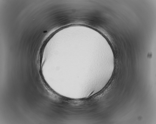 X0000096421127200802211117