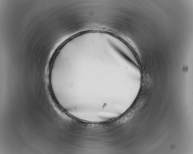 X0000096421128200802211117