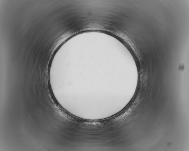 X0000096421129200802211117