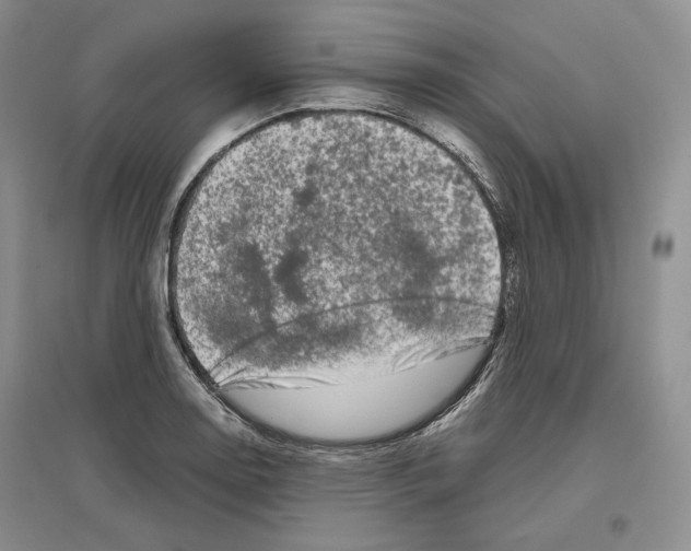 X0000096421130200802211117