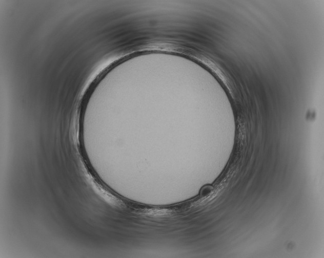 X0000096421131200802211117