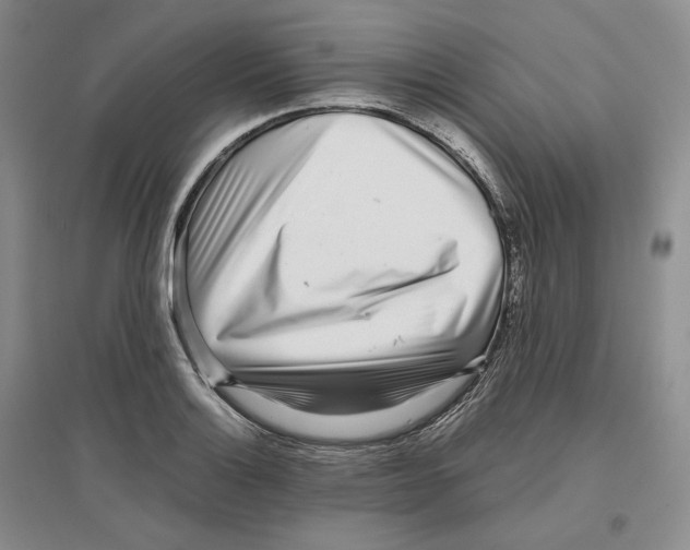 X0000096421132200802211117