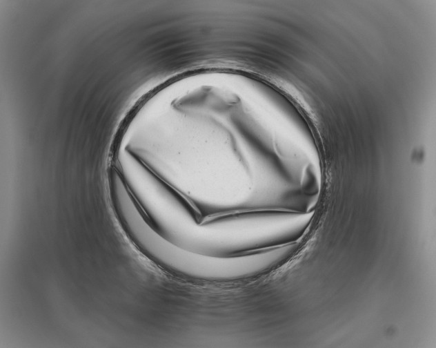 X0000096421133200802211117