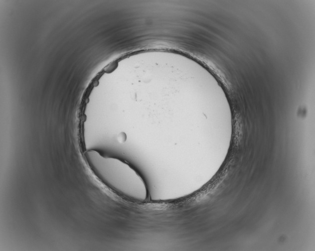 X0000096421134200802211117