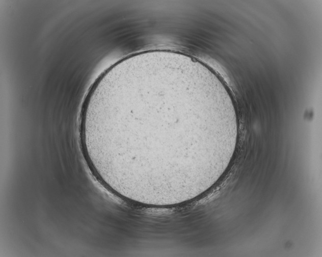 X0000096421135200802211117