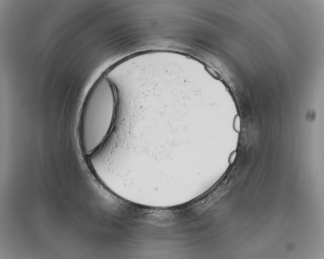 X0000096421136200802211117