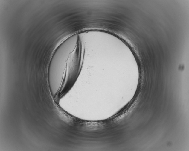X0000096421137200802211118