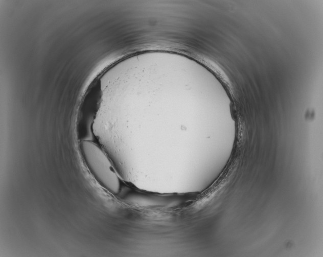 X0000096421138200802211118