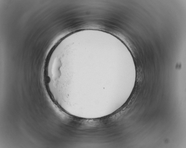 X0000096421139200802211118