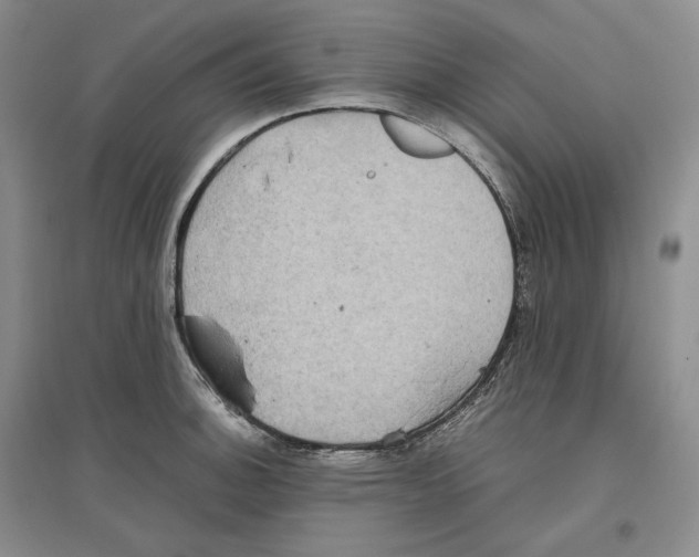 X0000096421140200802211118
