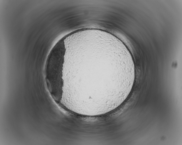 X0000096421141200802211118