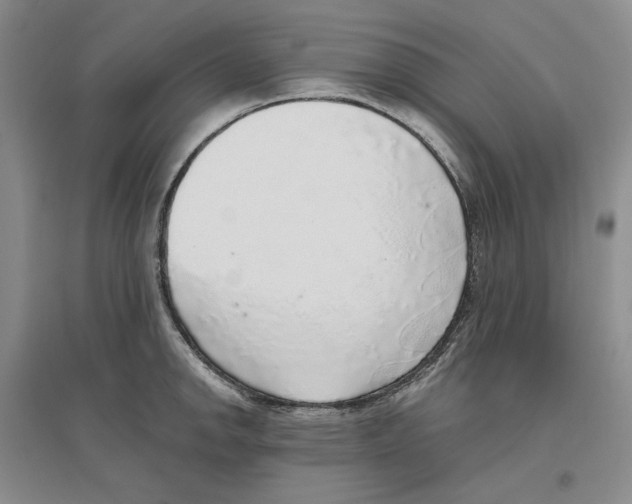 X0000096421142200802211118