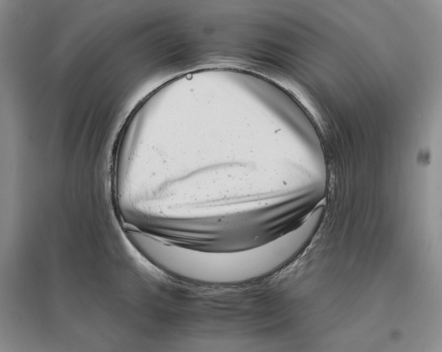 X0000096421143200802211118