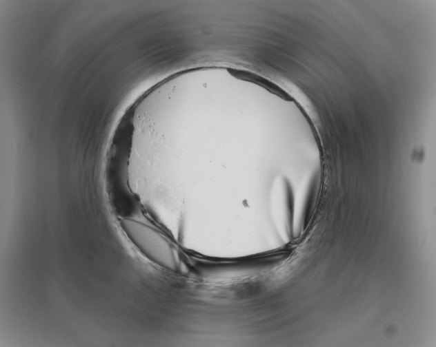 X0000096421144200802211118
