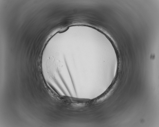 X0000096421145200802211118