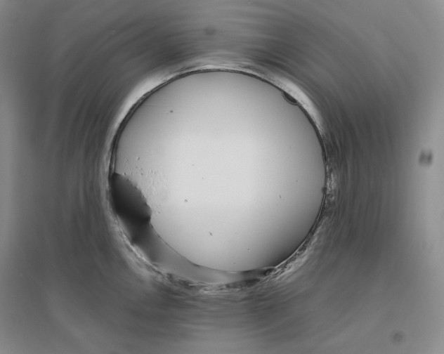 X0000096421146200802211118