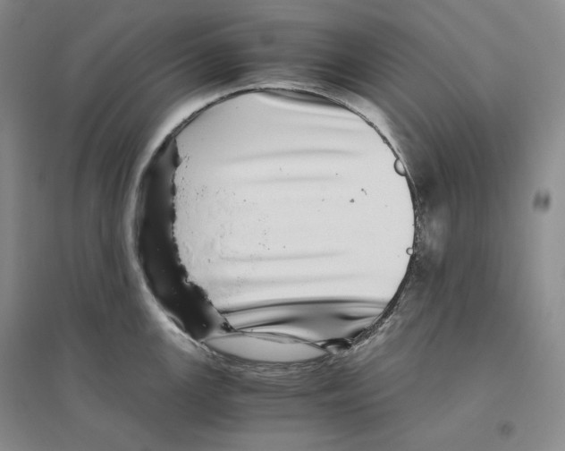 X0000096421147200802211118