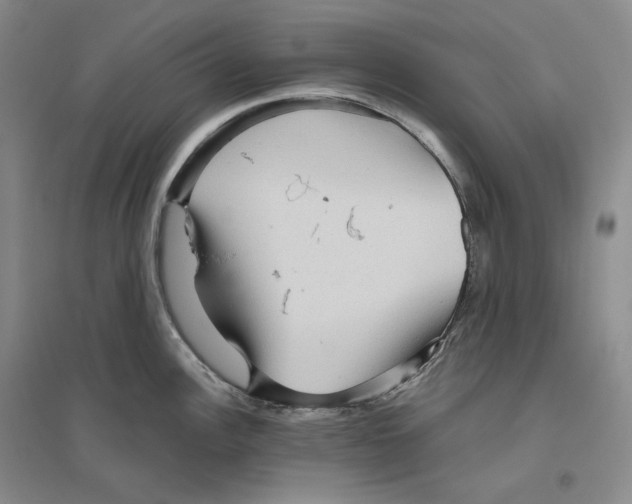 X0000096421148200802211118