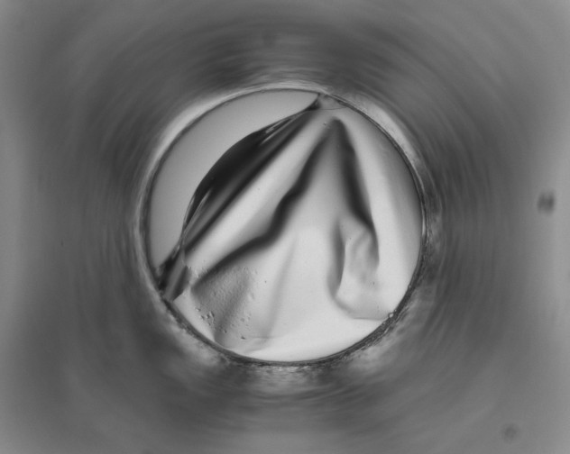 X0000096421149200802211118
