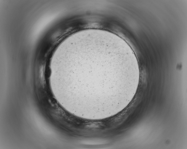 X0000096421150200802211118