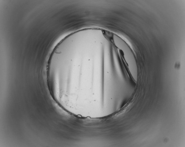 X0000096421151200802211118