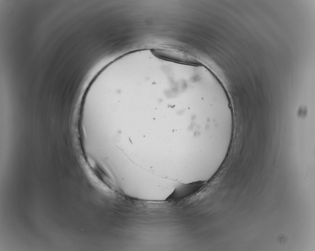 X0000096421152200802211118