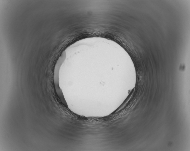X0000096421153200802211117