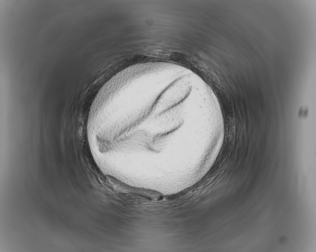 X0000096421154200802211117