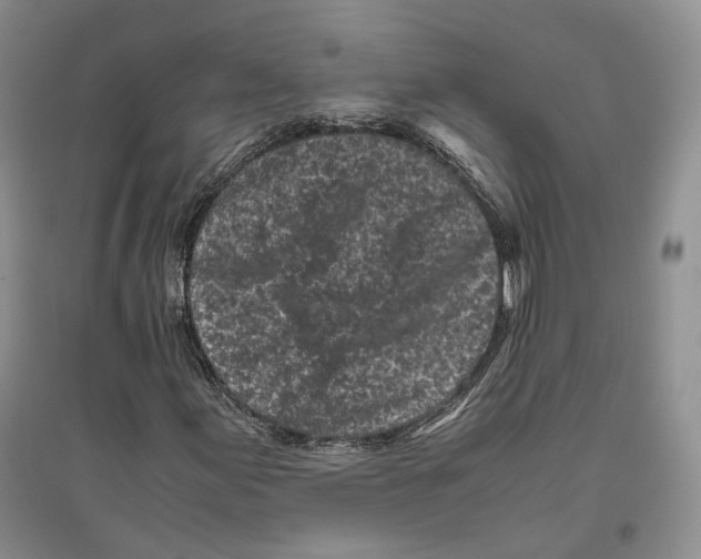 X0000096421155200802211117