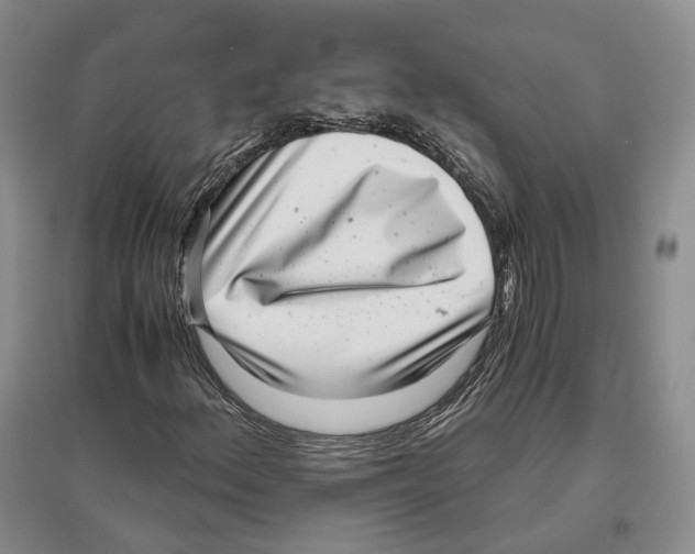 X0000096421156200802211117