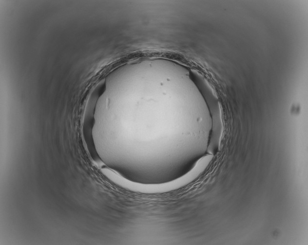 X0000096421157200802211117